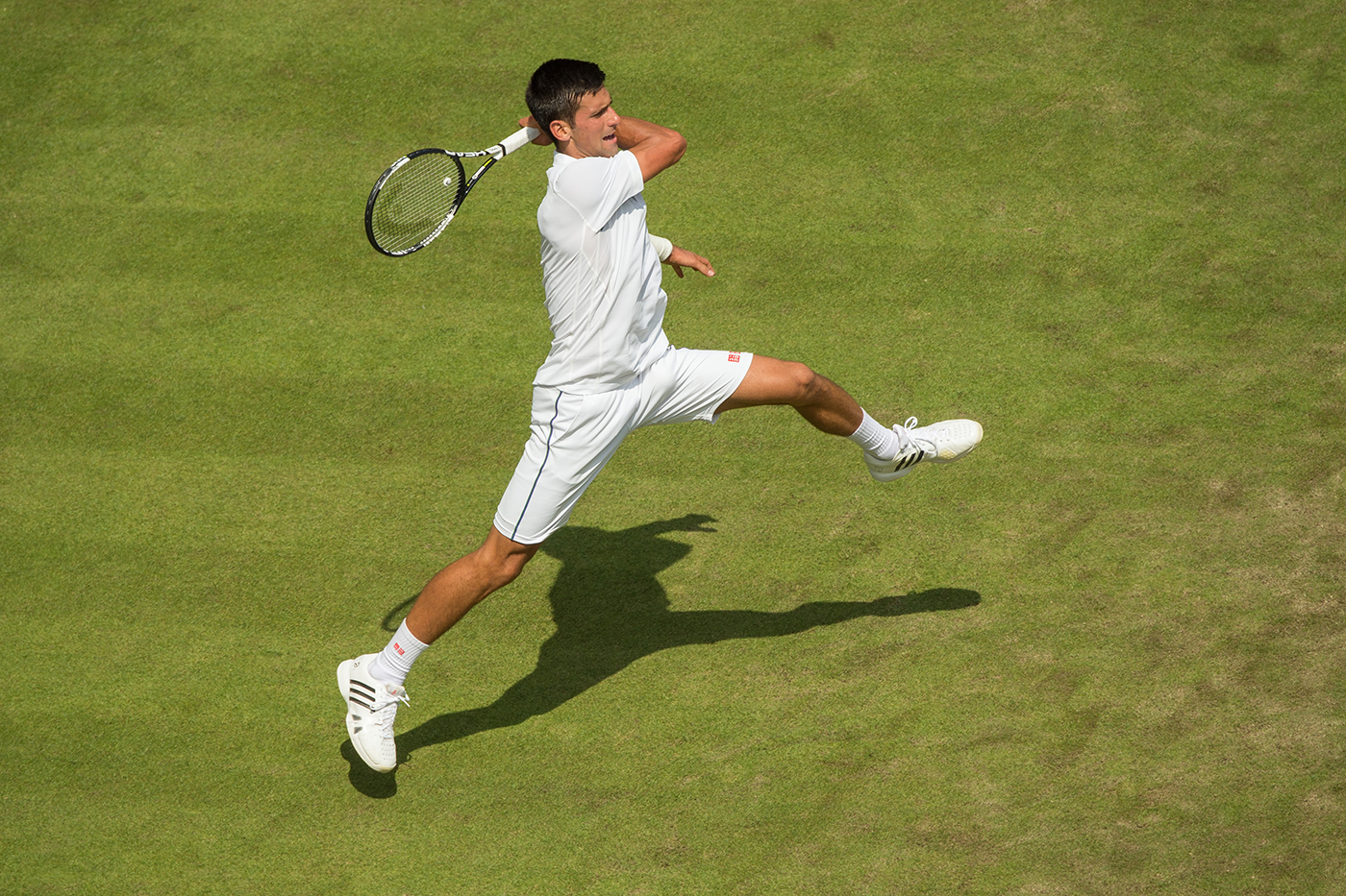 They don t play tennis. Новак Джокович 2011. Новак Джокович раскраска. Футболка Wimbledon the Champions как у обладает.