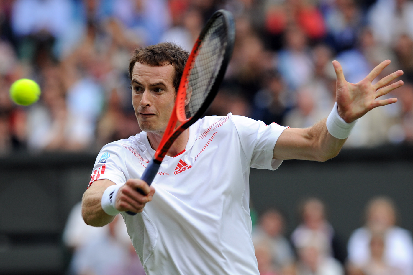 Men's semi-final: Murray Vs. Tsonga - The Championships, Wimbledon ...