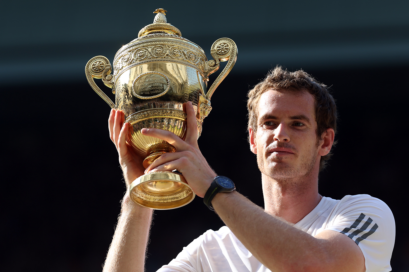 Gentlemen's Final: Murray Vs. Djokovic - The Championships, Wimbledon ...