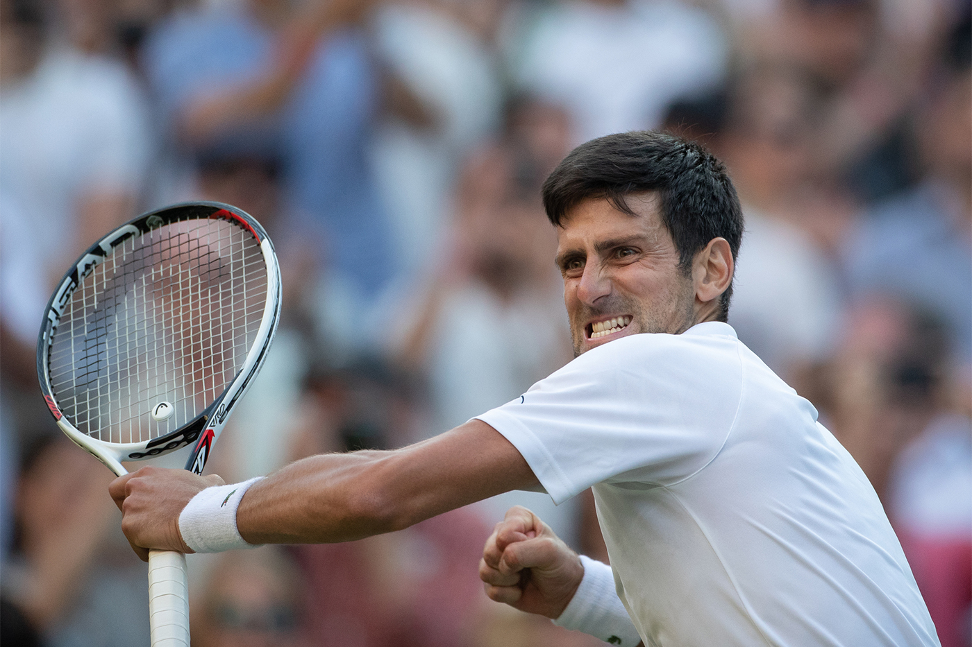 Djokovic dashes local hope - The Championships, Wimbledon - Official ...