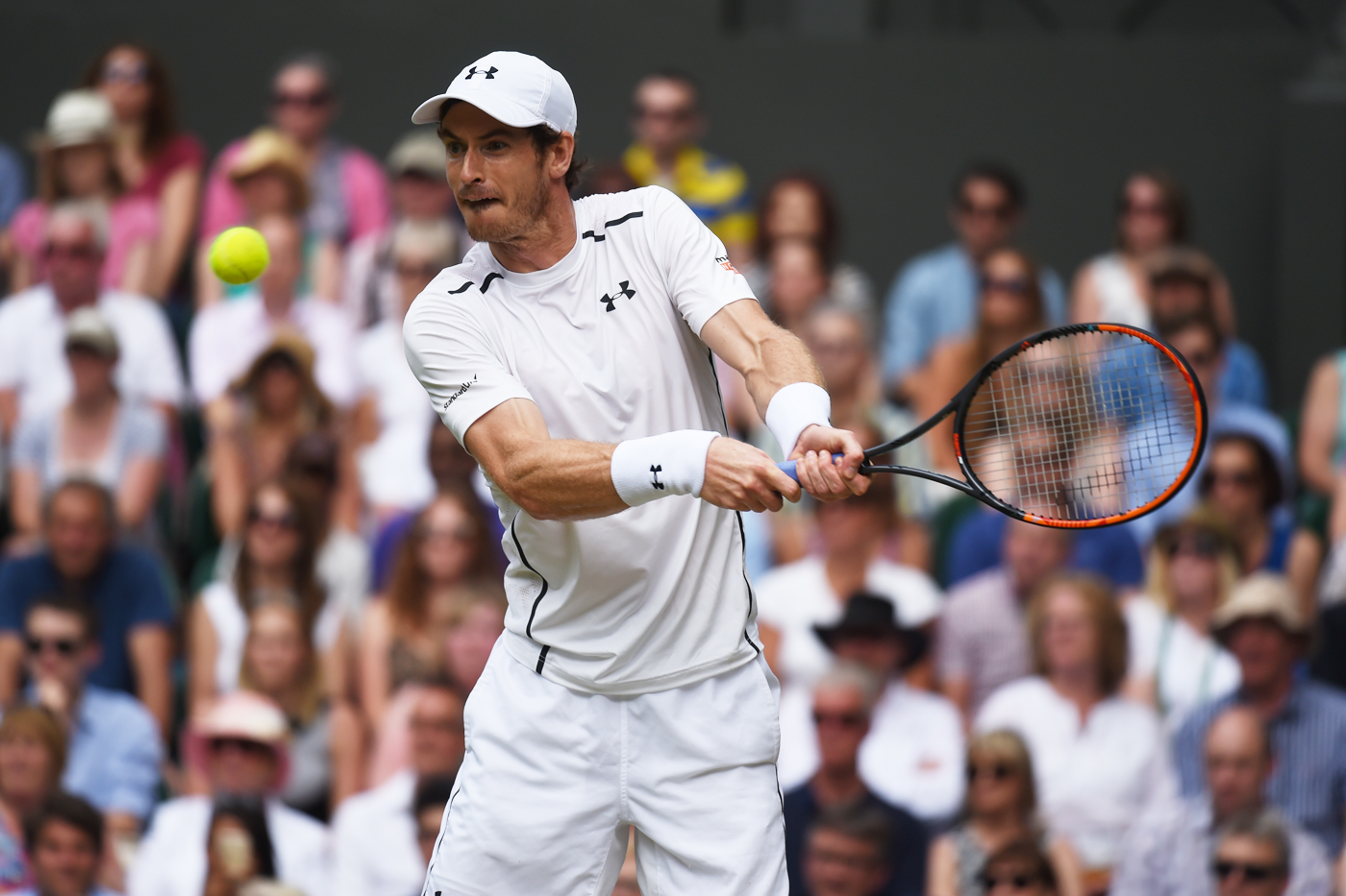 Gentlemen's Final: Murray defeats Raonic - The Championships, Wimbledon ...