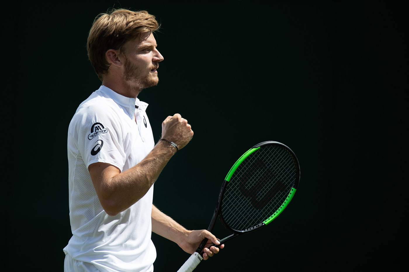 David Goffin Wimbledon. Эви Гоффин. Умбер.